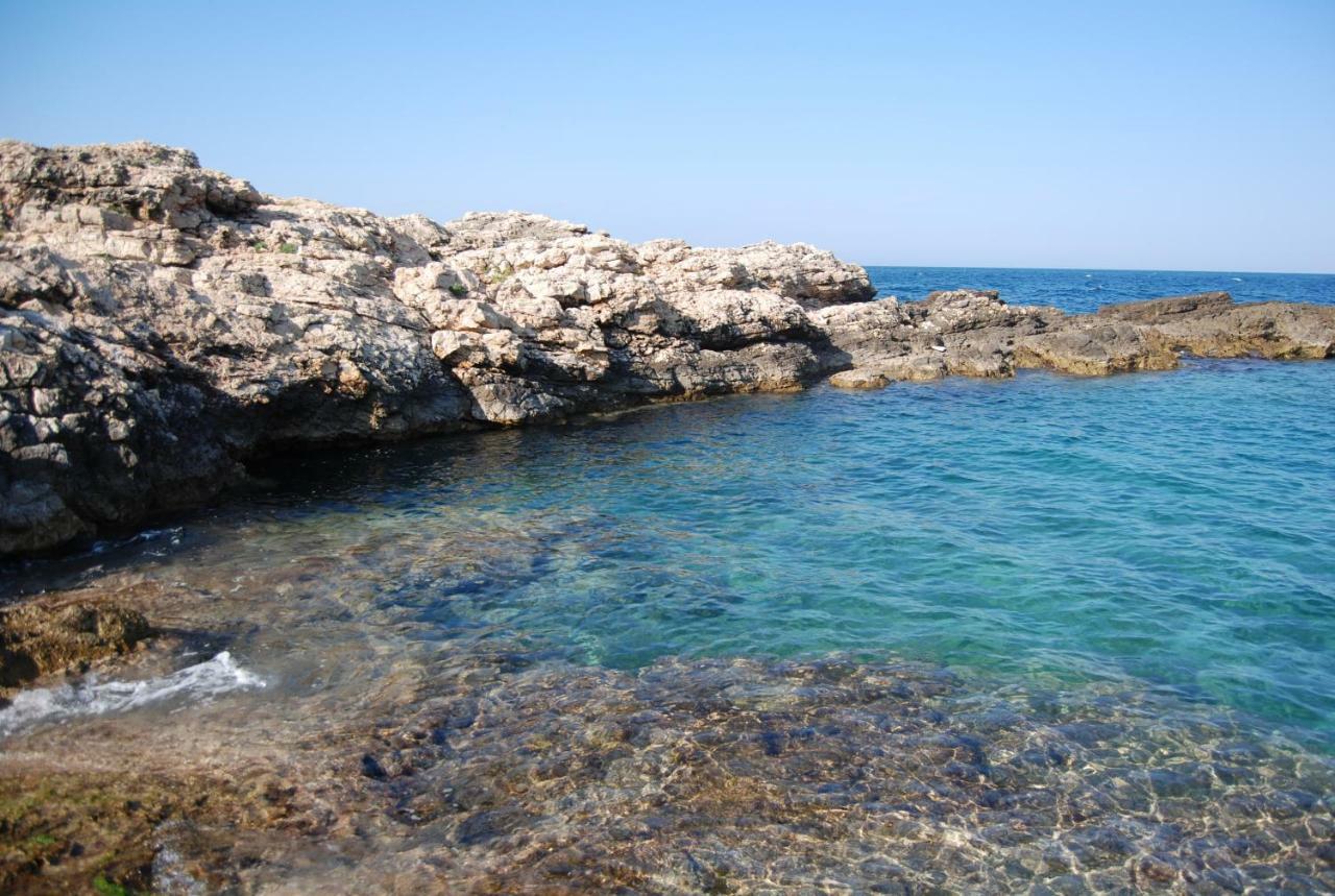 Eagle'S Nest Villa Polignano a Mare Kültér fotó