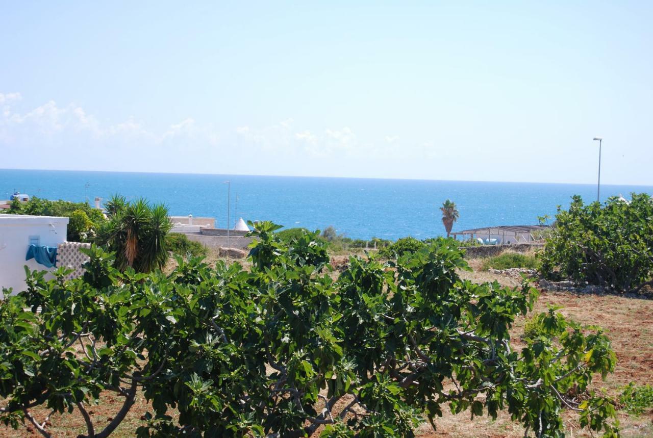 Eagle'S Nest Villa Polignano a Mare Kültér fotó
